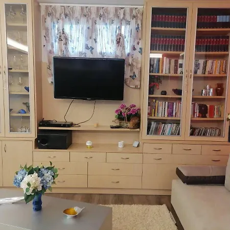 Paps Apartmán PalaiónTsiflíkion